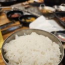 청학동참숯불뒷통구이 이미지