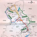2020-주137 Daum카페