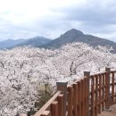 경화역 쉼터 이미지