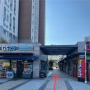 GS25 민락유보라점 | 민락동 애견미용 멍머리 반려견 미용후기
