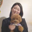 아지스테이션 네이버블로그