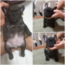 거제로와 이미지