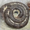 퍼피엔죽 | [기록] 9.8(월) - 9.30(화)