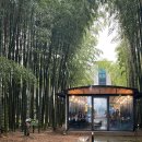 풍자농원 | 순천 풍자 또간집 맛집 대숲골농원 솔직후기 및 주차정보