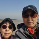 태안군 안면도 9 (황포항-운여-장산포-바람아래해수욕장-고남제방) 2 . 이미지