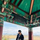 비비정예술열차 | 전주 근교 한복입고 가볼만한 곳, 이색카페 비비정 예술열차(드라이브 데이트 코스)