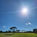 제주파크장 이미지