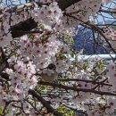 이문48 | 릴트 외대점에서 윤서쌤께 받은 빈티지펌, 대만족 후기👍