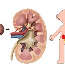 구로-구로-구로-1798 이미지
