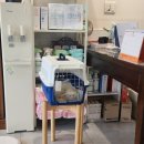 오석헌동물병원 이미지