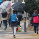 Multicultural student ratio exceeds 70% 서울 초등학교 2곳 다문화 학생비율 70% 초과 이미지