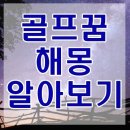 골프꿈 해몽 알아보기 골프치는꿈 홀인원하는꿈 골프공꿈 등 총정리 이미지