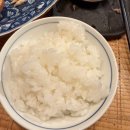 남선사료 | 주식하며 세계여행 - 토쿄편 1부 feat.매매일지