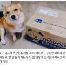 공감 이미지