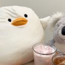 더홀빈 이미지