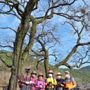 대구시 동구 대암봉(465m)/요령봉(492m) 그 봄날의 깨끗함~. 이미지