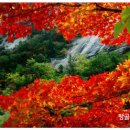 샬롬(Shalom) 이미지