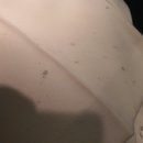 전광수세탁숍 이미지