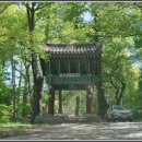 영주 안양원 독성탱화 및 신중탱화 | 문경의 사찰, 대승사(大乘寺)_210505