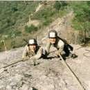 참배나무골 이미지