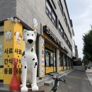 애견사료마트 | 사료부터 간식, 장난감까지 한 번에! 광진구 숨은 애견용품 천국_펫마트 광진점