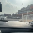 더필드가든 | 순천 애견카페 더필드 후기｜넓은 운동장이 있는 신대 핫플