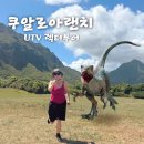 동부그린공원 | 하와이 가볼만한곳 쿠알로아랜치 UTV랩터투어 복장 영화같은 사진찍는 방법