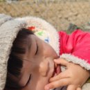 크립토쿠키
