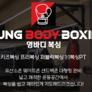 영바디복싱 이미지