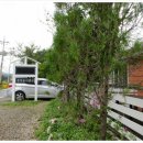 풀빛둥지펜션 이미지