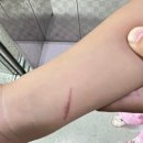 대인외과내과의원 이미지