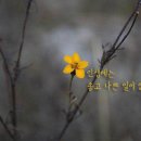 법륜스님의 희망편지 - 걸림없이 행복하게 이미지