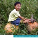 내아들농장 이미지