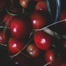 체리 이미지