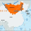 아린ALIN
