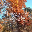 씨유청계산입구역점 | 근교 등산코스 청계산 매봉 후기(아침등산, 청계산입구역 신분당선, 가을 단풍 등산, 원터골입구~매봉코스)