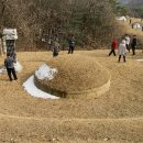 윤인함묘 이미지