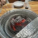 생생장어 이미지