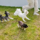 고목로1 이미지