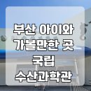 수산과학관 | 부산 아쿠아리움이 있는 국립수산과학관 후기