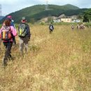 마을회관 맞은편 다리건너 이미지