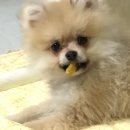 중평한의원 | 날씨탓