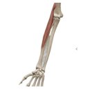 몸짱만들기GYM 이미지