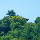 조곡동 둑실공원 이미지