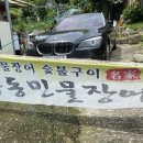 유동민물장어