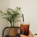 앨리스토리커피 여수
