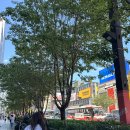 과천타워~새서울쇼핑 | 2025 春夏<秋>冬