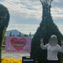 강진만갯벌탕 이미지