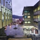 박경숙헤어 이미지