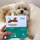 J.S 카케어 | 강아지 영양간식 닥터웰릿 J케어 관절 노견도 먹기 좋은 반려견 간식 추천